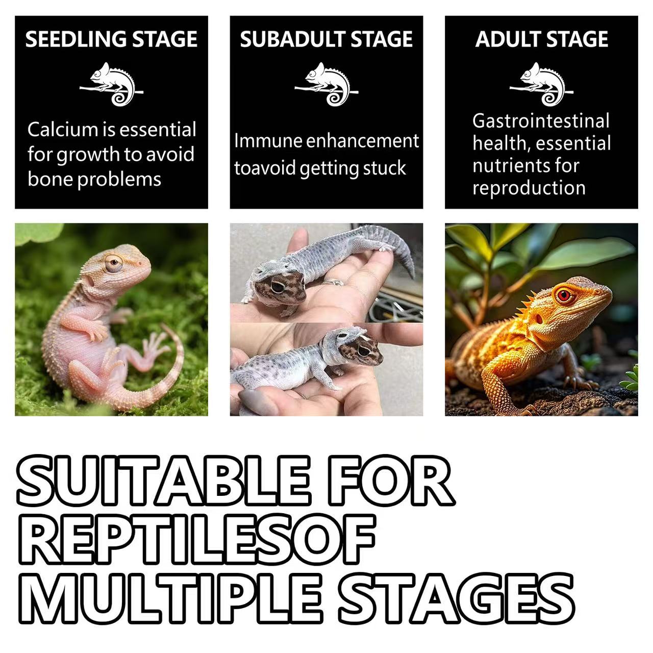 Reptile Vitamins（100g/3.53oz)